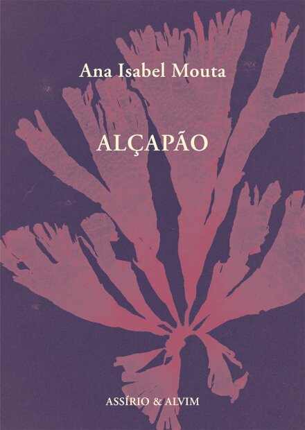 Alçapão