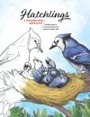 Hatchlings