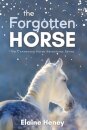 The Forgotten Horse