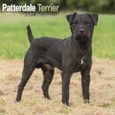 Patterdale Terrier Calendar 2026  Square Dog Breed Wall Calendar - 16 Month