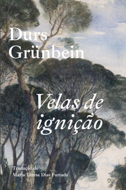 Velas de Ignição