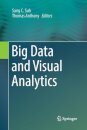 Big Data and Visual Analytics