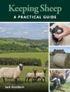 Keeping Sheep