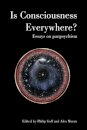 Is Consciousness Everywhere?