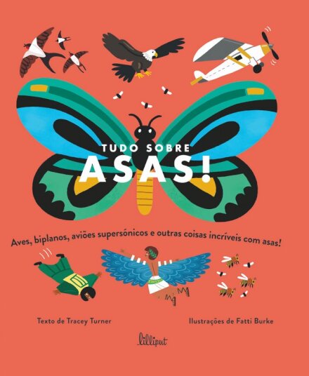 Tudo sobre Asas