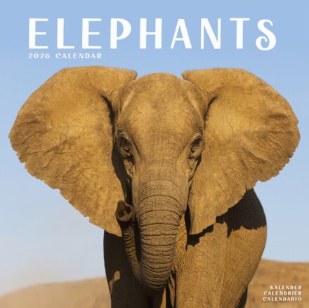 Elephants Calendar 2026 Square Wildlife Safari Wall Calendar - 16 Month