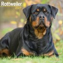 Rottweiler Wall