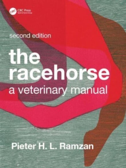 The Racehorse