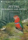 Pittas, Broadbills and Asities