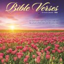 Bible Verses Square Wall Sunday Start Ca