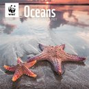 WWF Oceans (PFP) Wall