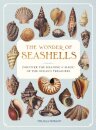 The Wonder of Seashells