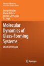 Molecular Dynamics of Glass-Forming Systems