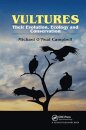 Vultures