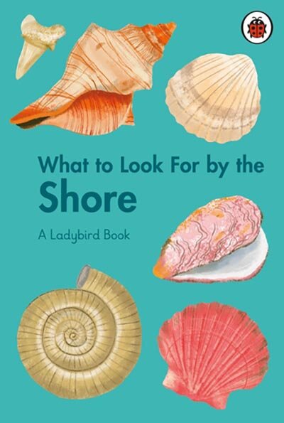 What To Look For By The Shore
