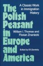 The Polish Peasant in Europe and America