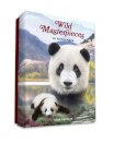 Wild Masterpieces Notecards