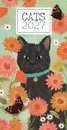 Cats Slim Diary