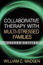 Collaborative Therapy with Multi-Stressed Families, Second Edition