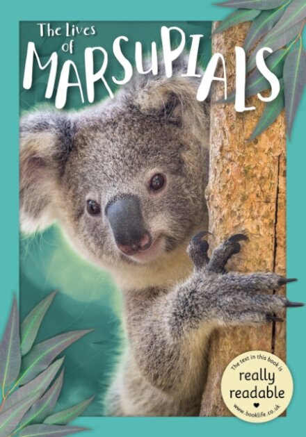 The Lives of Marsupials