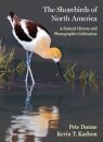 The Shorebirds of North America