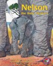 Nelson, the baby Elephant