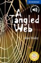 A Tangled Web Level 5