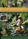 Best Plants to Attract and Keep Wildlife in the Garden