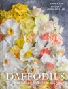 Daffodils