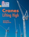 Cranes Lifting High