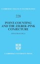 Point-Counting and the Zilber–Pink Conjecture
