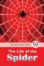 The Life of the Spider