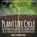 Plant Life Cycle (How Plants Grow)