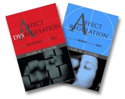 Affect Regulation and the Repair of the Self & Affect Dysregulation and Disorders of the Self Two-Book Set