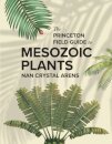 The Princeton Field Guide to Mesozoic Plants