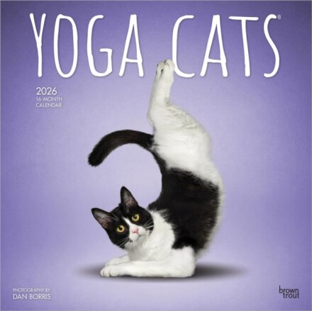 Yoga Cats 2026 Square Flap Calendar