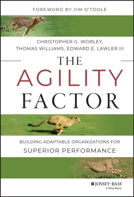 The Agility Factor