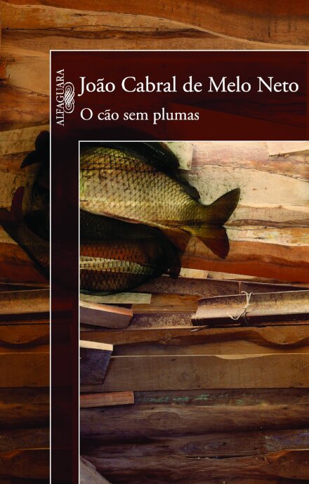 O Cão Sem Plumas
