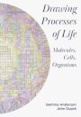 Drawing Processes of Life