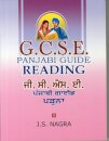 GCSE Panjabi Guide - Reading