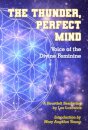 The Thunder, Perfect Mind