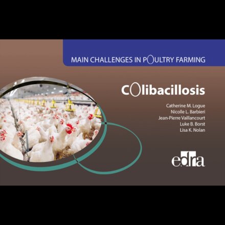 Colibacillosis - Main Challenges in Poultry Farming