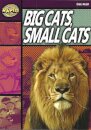 Big Cats Small Cats