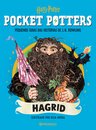 Pocket Potters: Hagrid