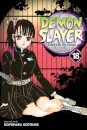 Demon Slayer V18