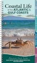 Coastal Life of the Atlantic and Gulf Coasts