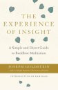 The Experience of Insight