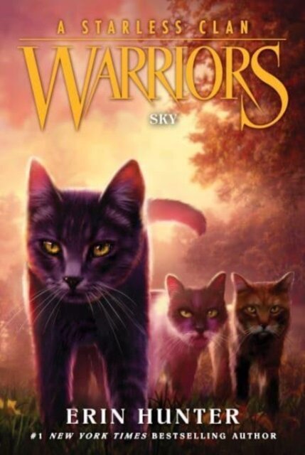 Warriors: A Starless Clan 2: Sky