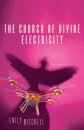 The Church of Divine Electricity