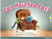 Bug Club Guided Fiction Reception Pink B Can You See Cat